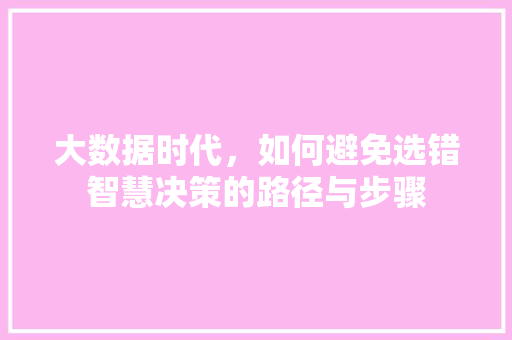 大数据时代，如何避免选错智慧决策的路径与步骤