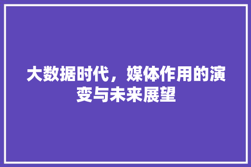 大数据时代，媒体作用的演变与未来展望