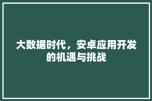 大数据时代，安卓应用开发的机遇与挑战