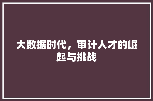 大数据时代，审计人才的崛起与挑战