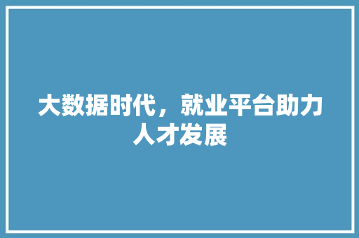 大数据时代，就业平台助力人才发展