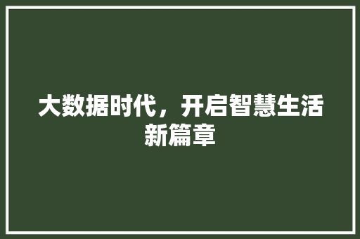 大数据时代，开启智慧生活新篇章 友链在线