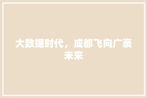 大数据时代，成都飞向广袤未来