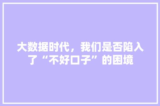 大数据时代，我们是否陷入了“不好口子”的困境