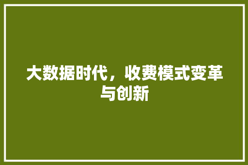 大数据时代，收费模式变革与创新