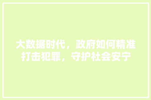 大数据时代，政府如何精准打击犯罪，守护社会安宁