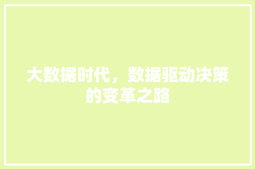 大数据时代，数据驱动决策的变革之路