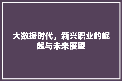大数据时代，新兴职业的崛起与未来展望
