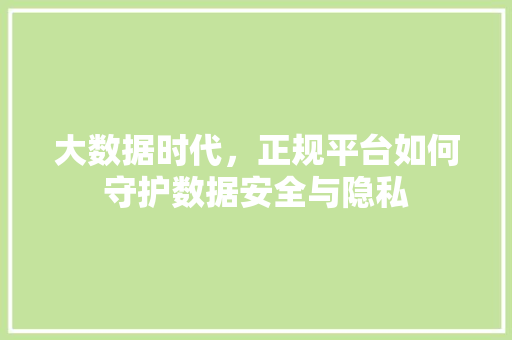 大数据时代，正规平台如何守护数据安全与隐私