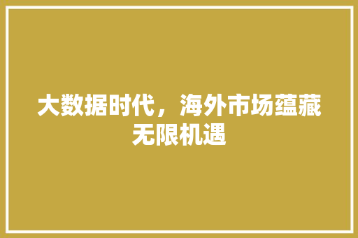 大数据时代，海外市场蕴藏无限机遇