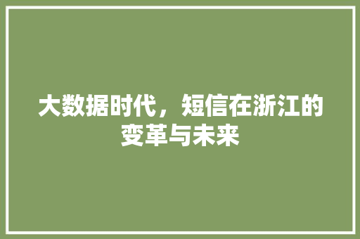 大数据时代，短信在浙江的变革与未来