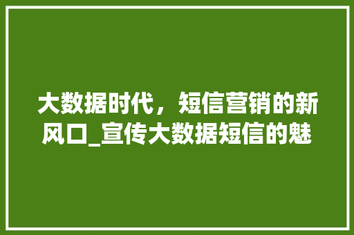 大数据时代，短信营销的新风口_宣传大数据短信的魅力
