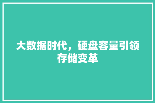 大数据时代，硬盘容量引领存储变革