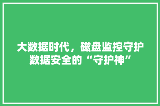 大数据时代，磁盘监控守护数据安全的“守护神”