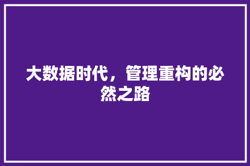 大数据时代，管理重构的必然之路