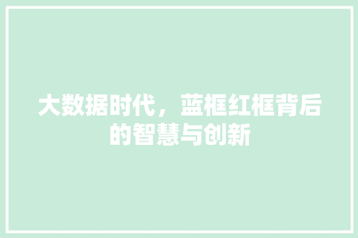 大数据时代，蓝框红框背后的智慧与创新
