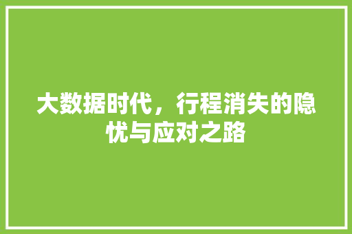 大数据时代，行程消失的隐忧与应对之路