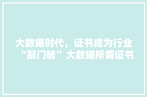 大数据时代，证书成为行业“敲门砖”大数据所需证书及其重要性