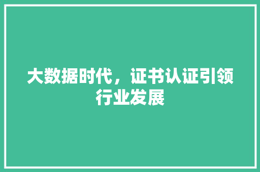 大数据时代，证书认证引领行业发展