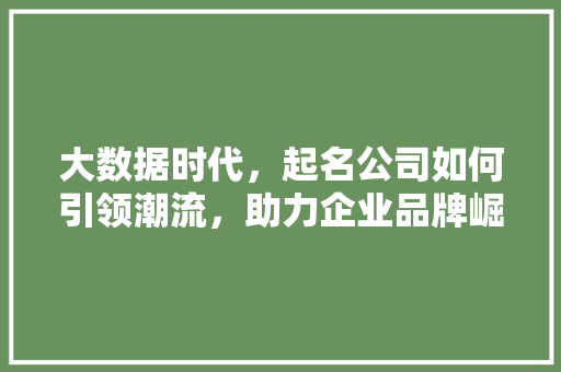 大数据时代，起名公司如何引领潮流，助力企业品牌崛起