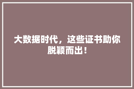 大数据时代，这些证书助你脱颖而出！