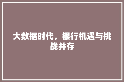 大数据时代，银行机遇与挑战并存