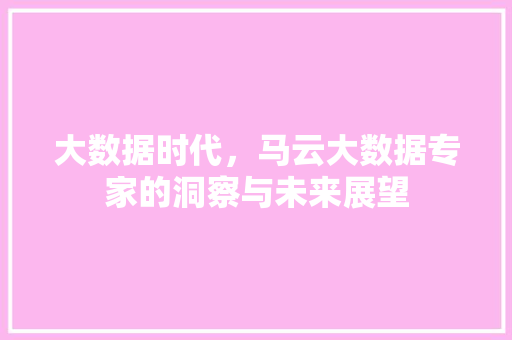 大数据时代，马云大数据专家的洞察与未来展望