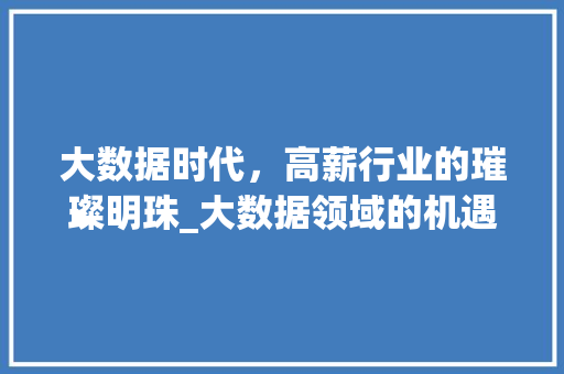 大数据时代，高薪行业的璀璨明珠_大数据领域的机遇与挑战