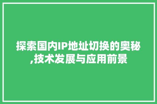 探索国内IP地址切换的奥秘,技术发展与应用前景