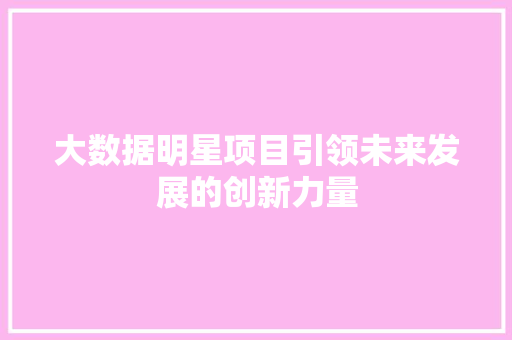 大数据明星项目引领未来发展的创新力量