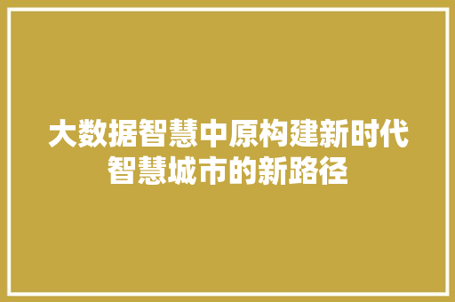 大数据智慧中原构建新时代智慧城市的新路径