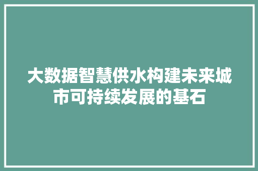 大数据智慧供水构建未来城市可持续发展的基石