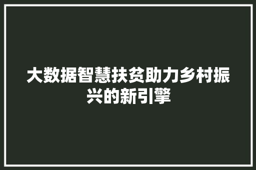 大数据智慧扶贫助力乡村振兴的新引擎