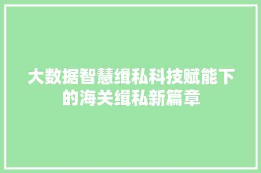 大数据智慧缉私科技赋能下的海关缉私新篇章