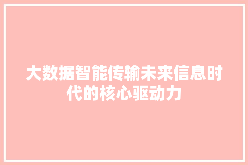 大数据智能传输未来信息时代的核心驱动力