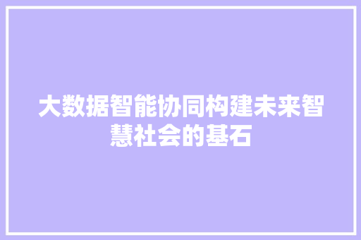 大数据智能协同构建未来智慧社会的基石