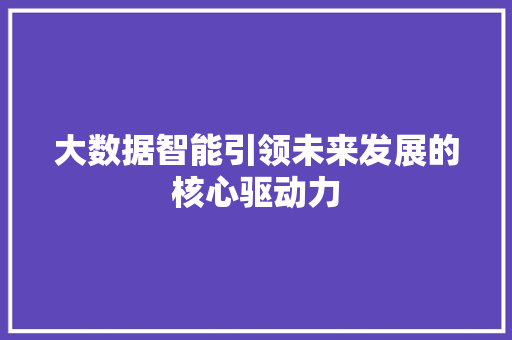 大数据智能引领未来发展的核心驱动力