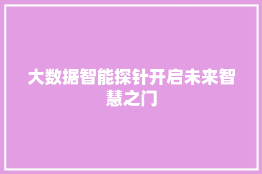 大数据智能探针开启未来智慧之门