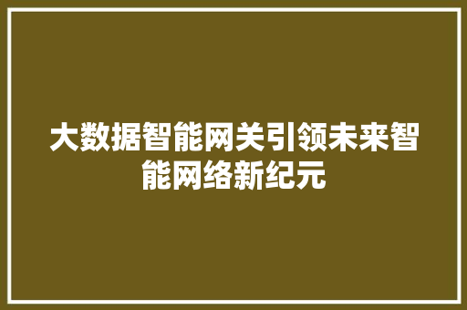 大数据智能网关引领未来智能网络新纪元