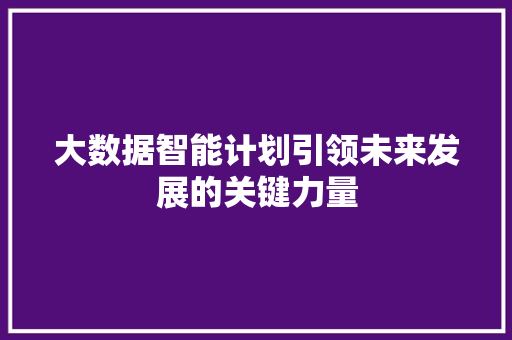 大数据智能计划引领未来发展的关键力量