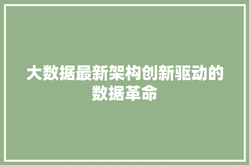 大数据最新架构创新驱动的数据革命 建站教程