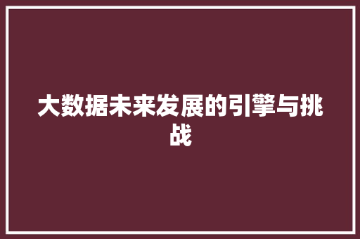 大数据未来发展的引擎与挑战