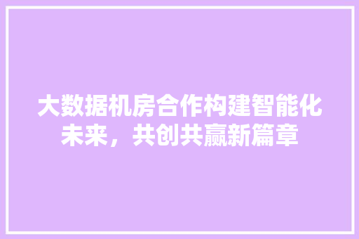大数据机房合作构建智能化未来，共创共赢新篇章