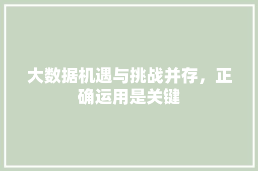 大数据机遇与挑战并存，正确运用是关键