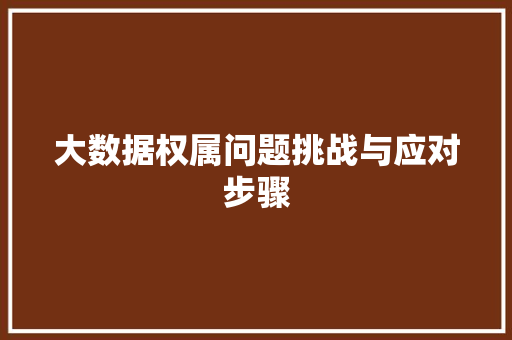 大数据权属问题挑战与应对步骤
