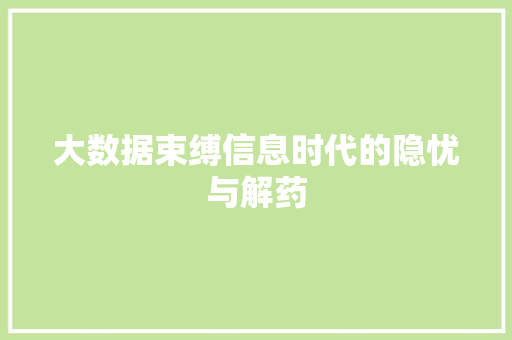 大数据束缚信息时代的隐忧与解药 友链在线