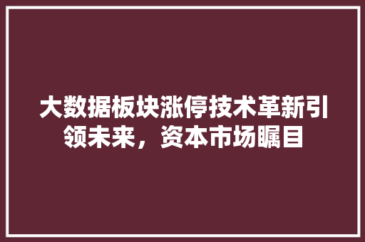 大数据板块涨停技术革新引领未来，资本市场瞩目