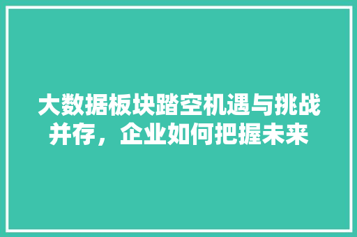 大数据板块踏空机遇与挑战并存，企业如何把握未来