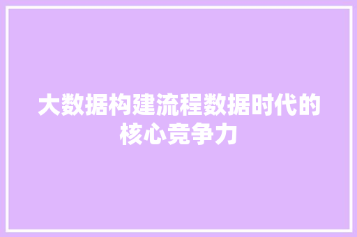 大数据构建流程数据时代的核心竞争力