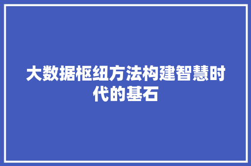大数据枢纽方法构建智慧时代的基石